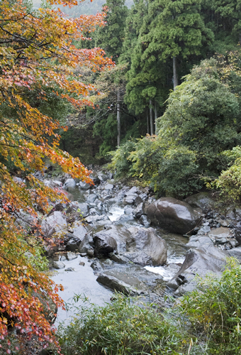 大江町の二瀬川渓流